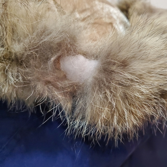 Izzi vintage blue jacket womens size large - Picture 10 of 10